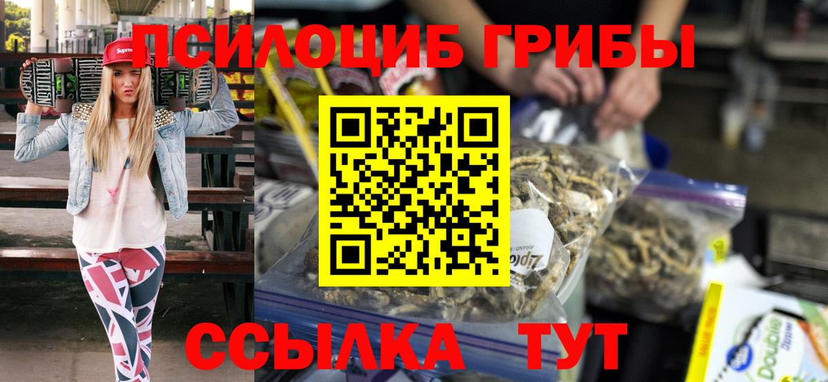 Галлюциногенные грибы Psilocybe Тверь
