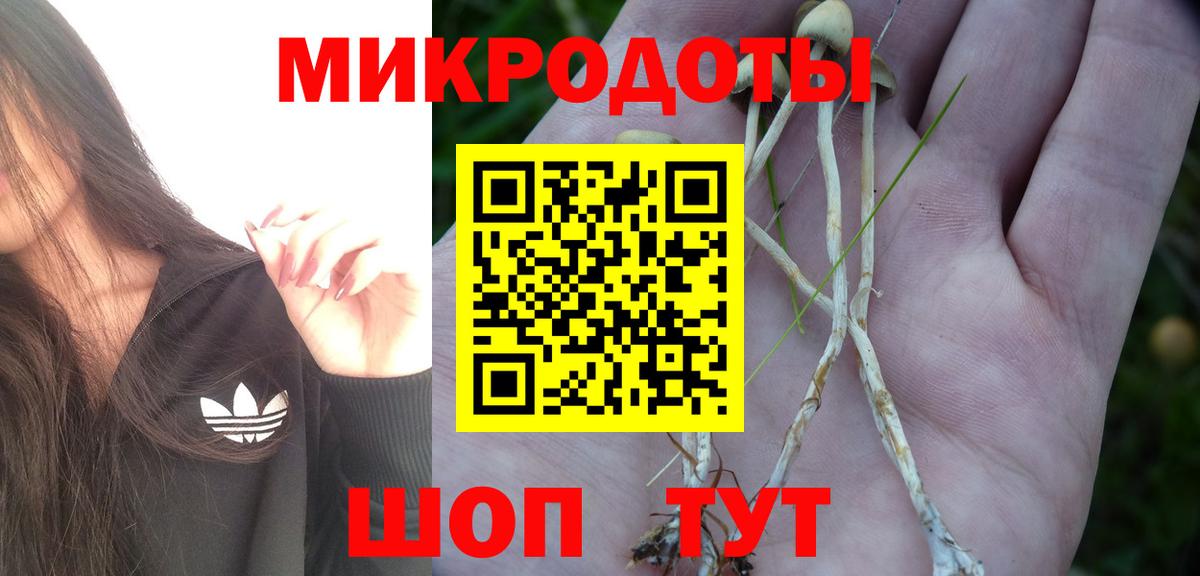 Галлюциногенные грибы Magic Shrooms  Вход с VPN  Псилоцибиновые грибы Psilocybe  Тверь 